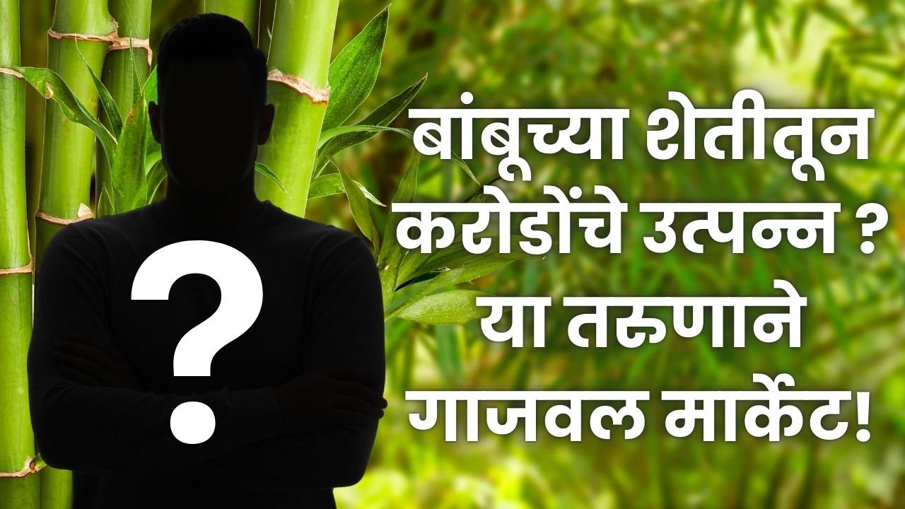 bamboo farming