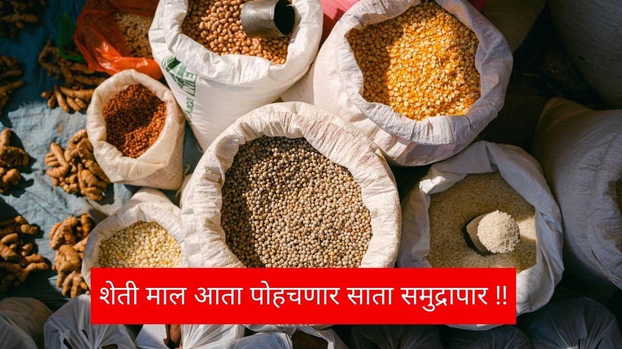 Agricultural Export Subsidy Scheme