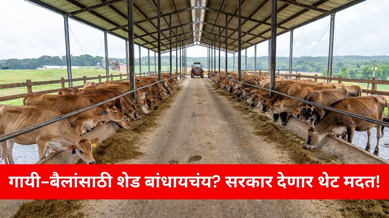 MGNREGA Pashu Shed Yojana