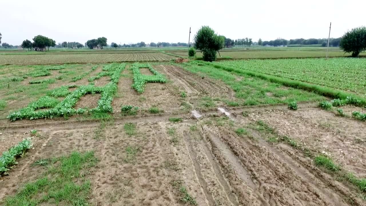 Jivant Satbara Mohim